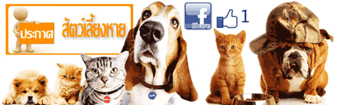 DogacatShare ช่วยเหลือ แบ่งปัน สัตว์เลี้ยง : group facebook www.facebook.com/DogacatShare