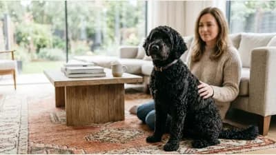 Are There Medium-Sized Dogs That Barely Shed, or Is That Expectation Unrealistic?
