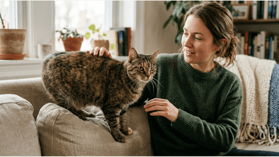 Why Does My Cat Act Extra Clingy at Certain Moments, Then Pull Away?