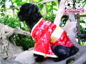 ลัคกี้ เสื้อสุนัข ชุดกิโมโนญี่ปุ่น สีแดง