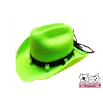 หมวกสุนัข หมวกหมา หมวกแมว หมวกน้องหมา คาวบอยV3 สีเขียว