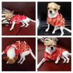รีวิว เสื้อสุนัข ชุดจีน สีแดง